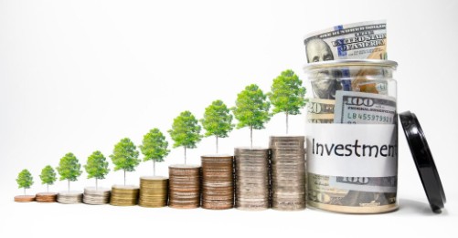 &nbsp;Insead MIM ROI (Return on Investment)
